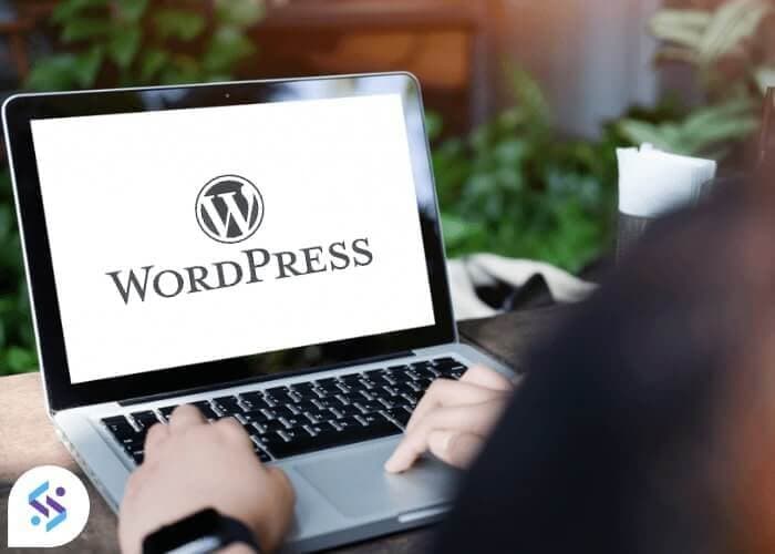 Hire Wordpress Developers